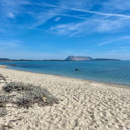 Iss Travel, San Teodoro 1 - 100 M From Cala D'Ambra Beach Dış mekan fotoğraf