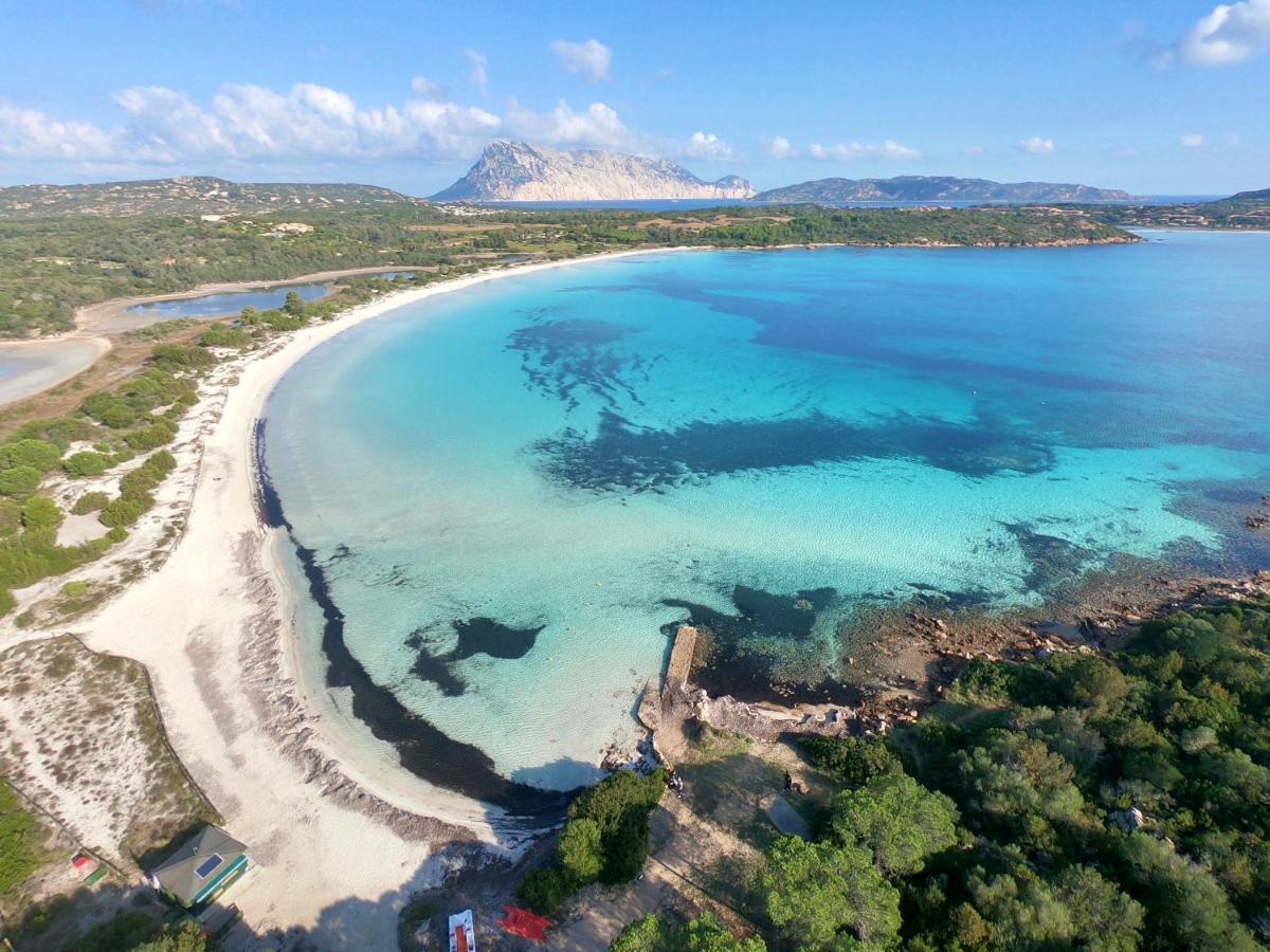 Iss Travel, San Teodoro 1 - 100 M From Cala D'Ambra Beach Dış mekan fotoğraf